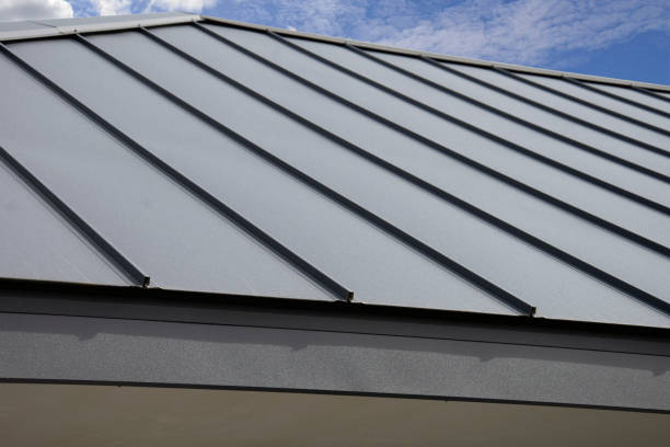 Best Metal Roofing Installation  in Las Quintas Fronterizas, TX